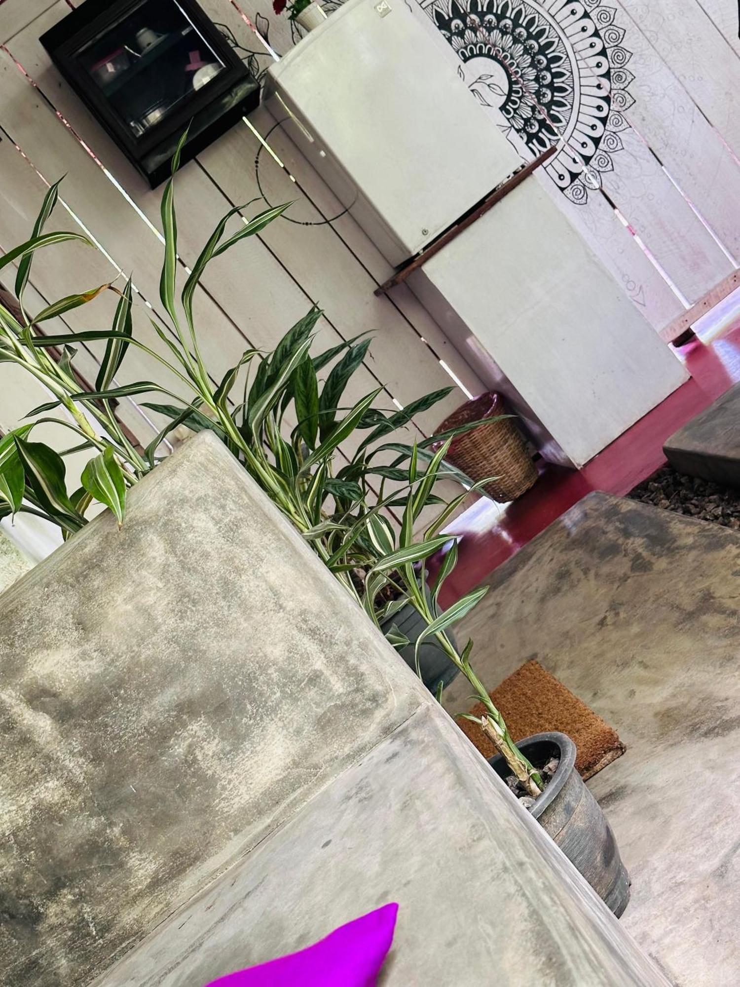 Venora Hiriketiya Acomodação com café da manhã Dikwella Exterior foto